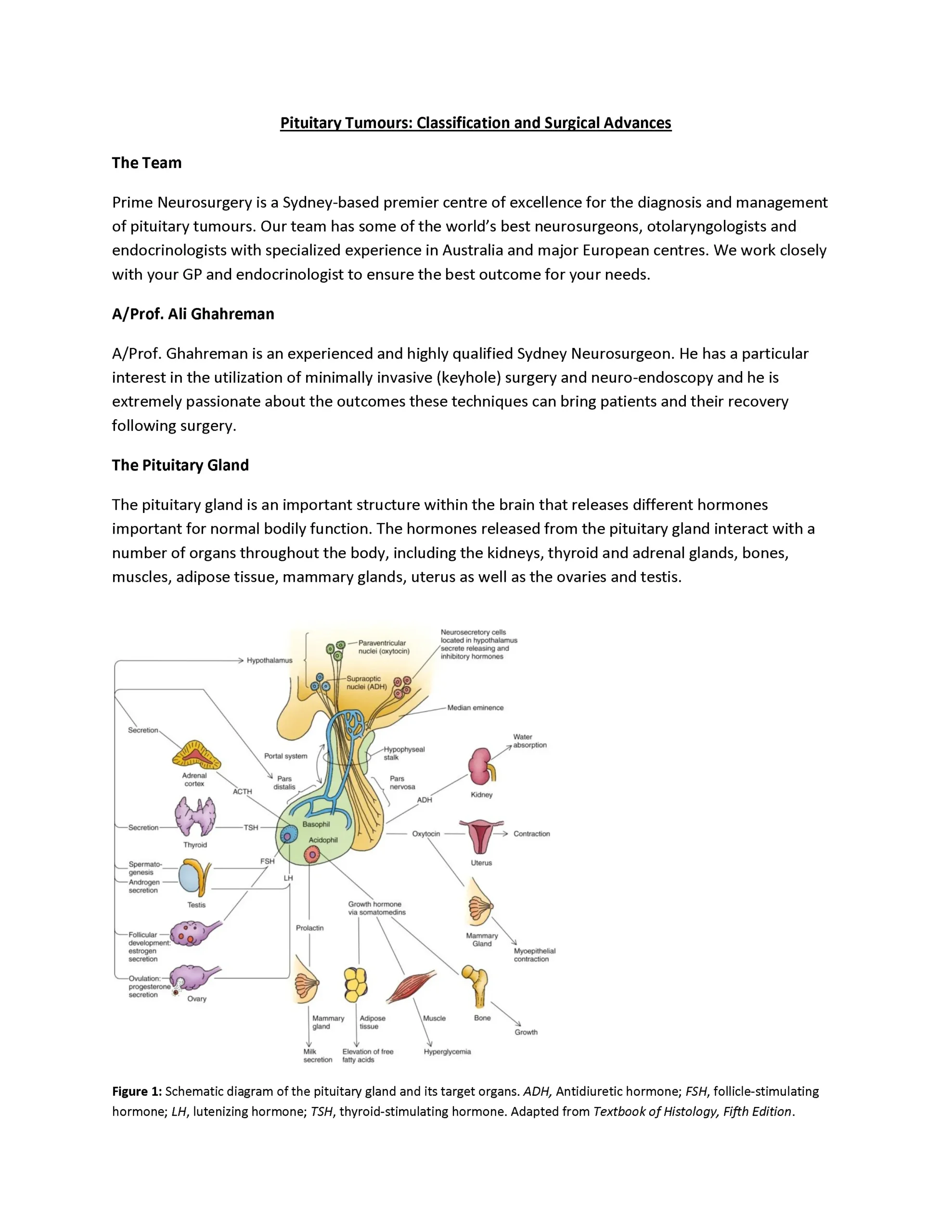 Pituitary Tumours - Classification and Surgical Approach - PRIME NEUROSURGERY KOGARAH